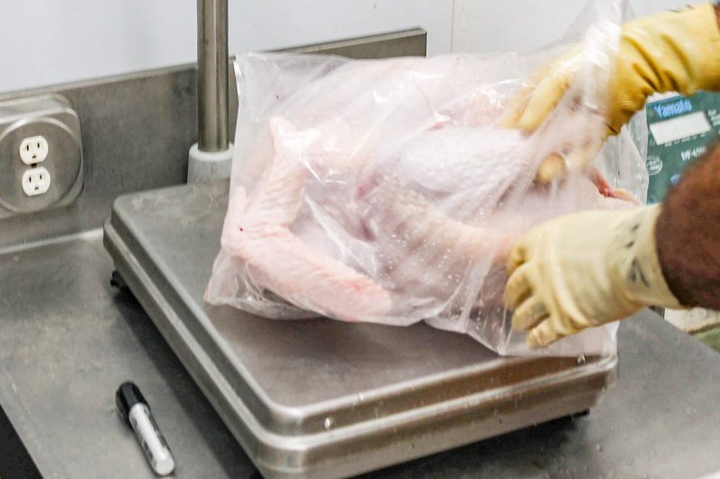 A fresh bagged turkey being weighed on a scale at Weaver's Turkey Farm